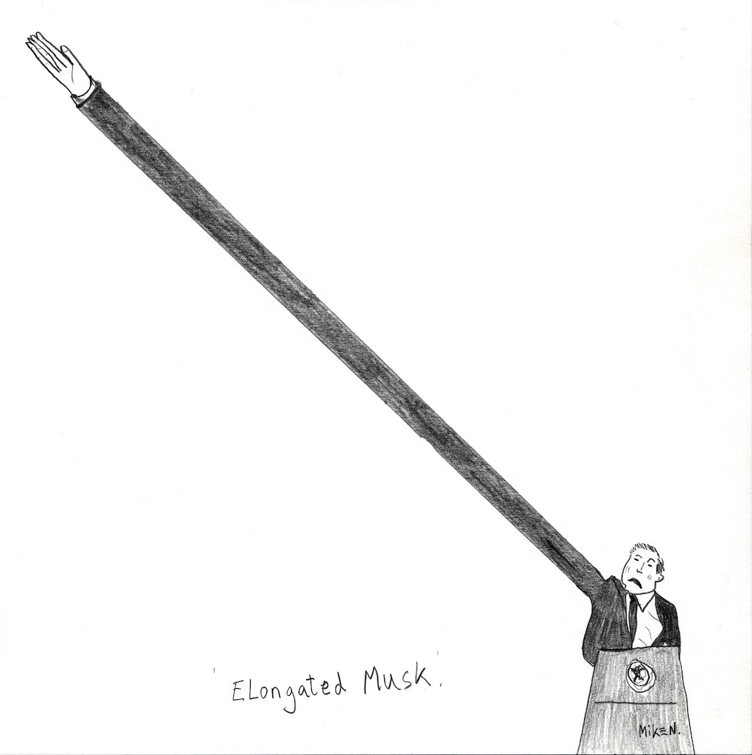 Elongated Musk