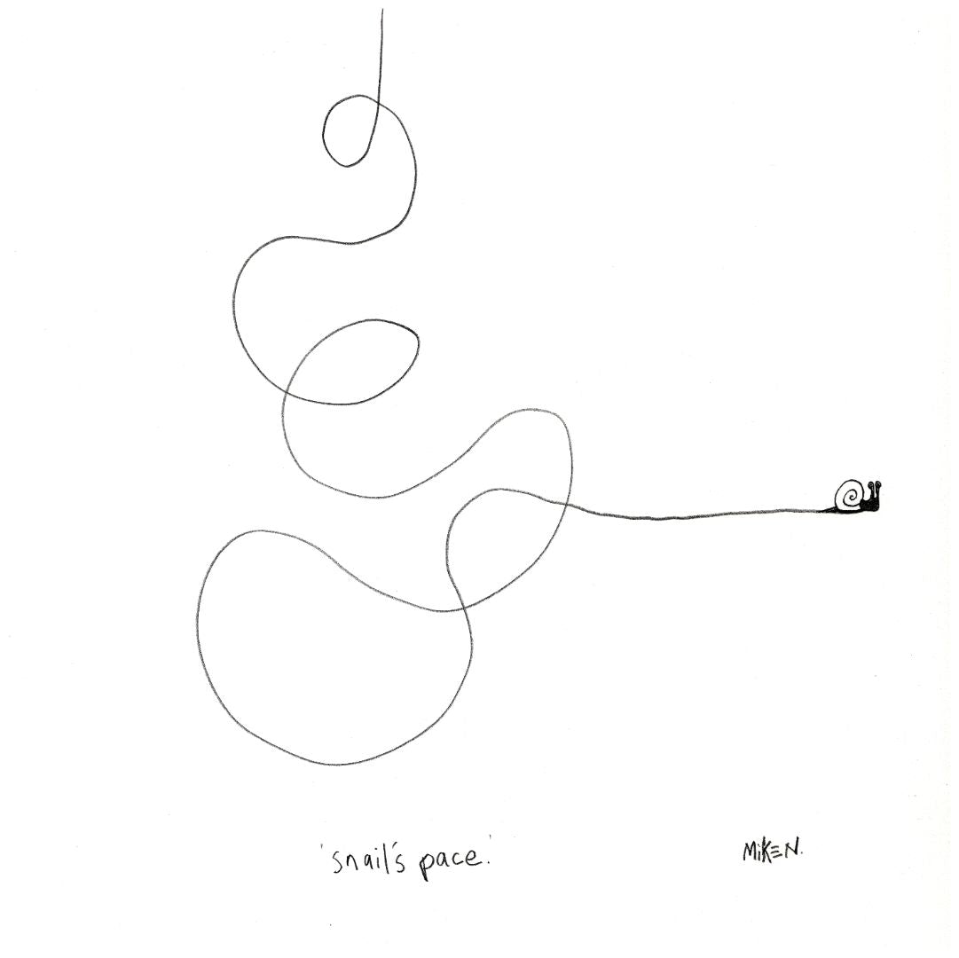 Snail's pace